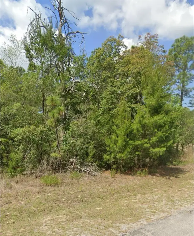 3808 W Indian Rock Place, Citrus Springs, FL 34433 - #3