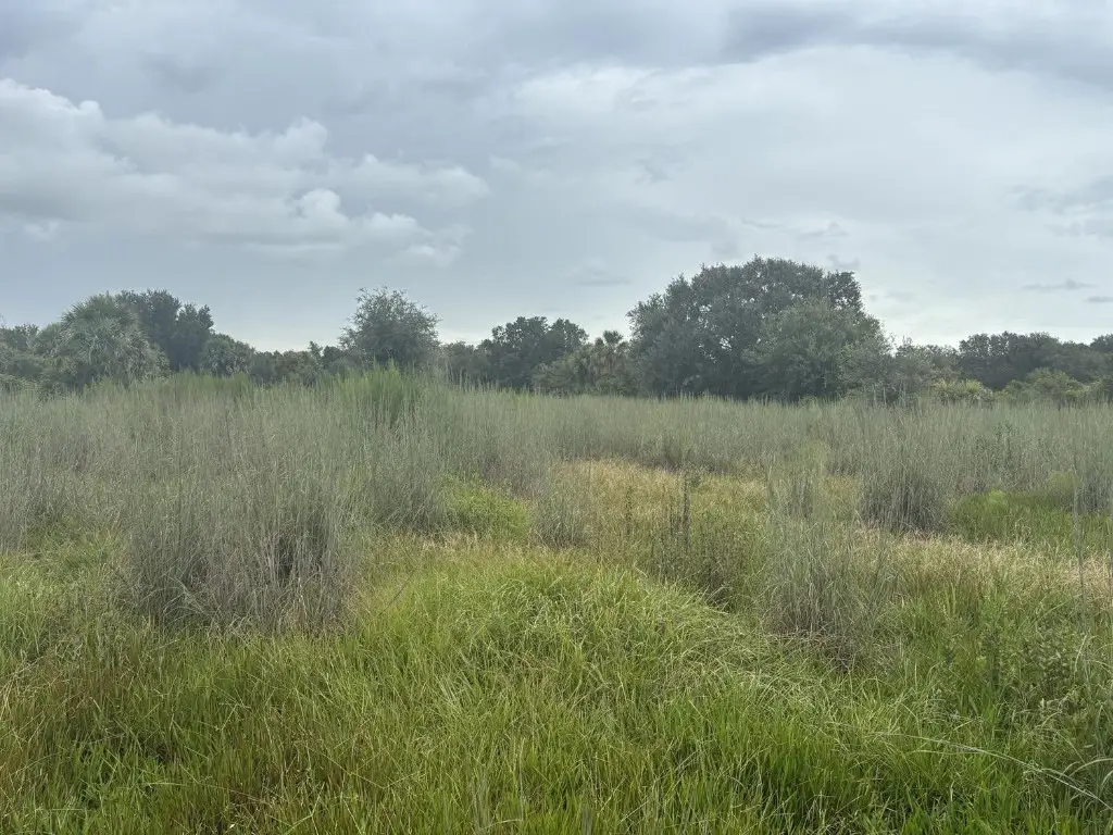 0 294th Street, Okeechobee, FL 34972 - #1