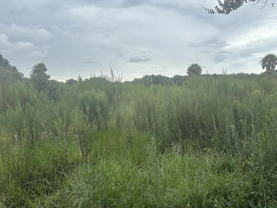 0 294th Street, Okeechobee, FL 34972 - #2