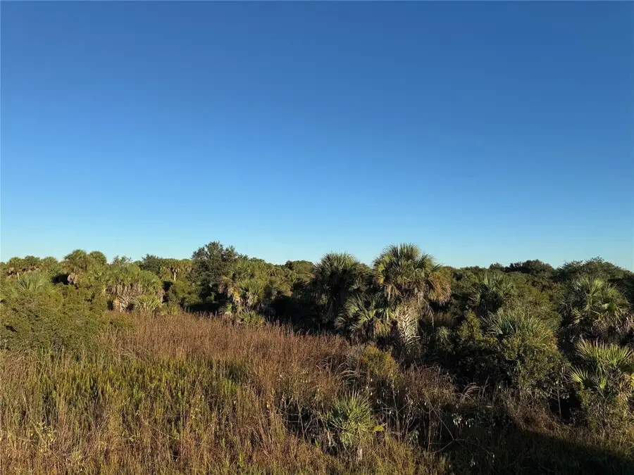 2025 Cabbage Lane, Okeechobee, FL 34974 - #3