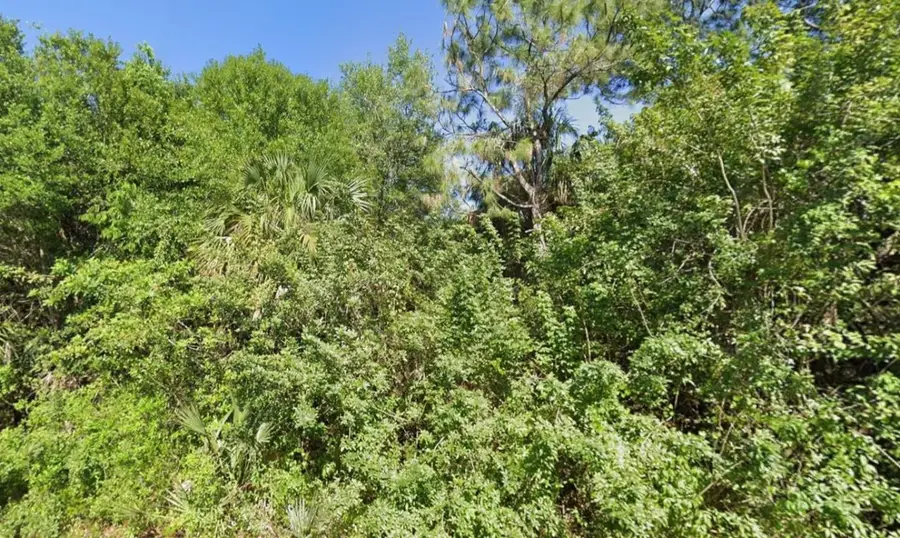 4702 Vera Avenue, Lehigh Acres, FL 33971 - #3