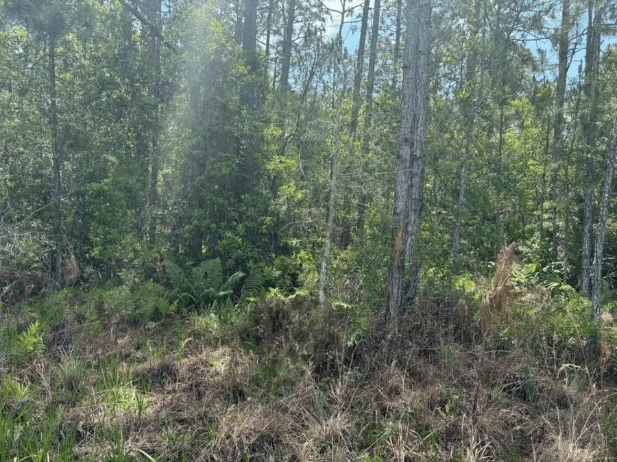 0 Holopaw Groves Road, Saint Cloud, FL 34772 - #2