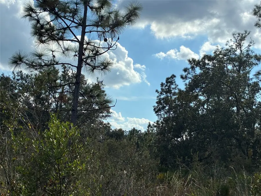 Lot 21 & 22 Plumosa Drive, Indian Lake Estates, FL  - #2