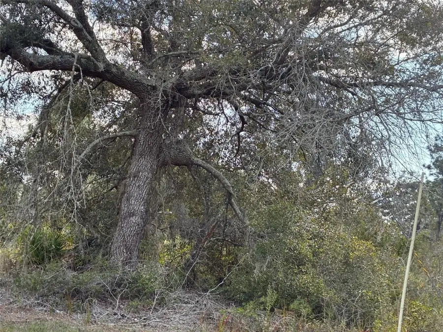 Lot 21 & 22 Plumosa Drive, Indian Lake Estates, FL  - #3