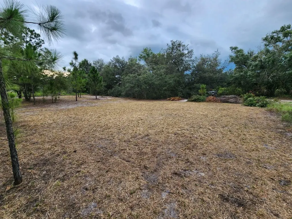 2925 W Bandra Road, Avon Park, FL 33825 - #1