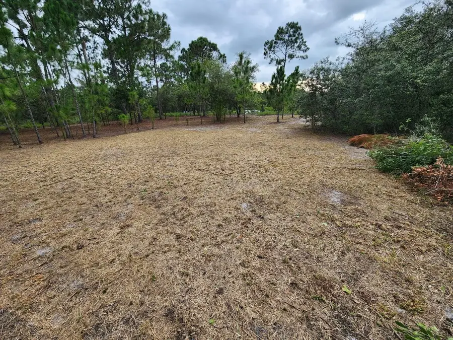 2925 W Bandra Road, Avon Park, FL 33825 - #2