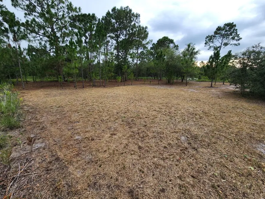 2925 W Bandra Road, Avon Park, FL 33825 - #3