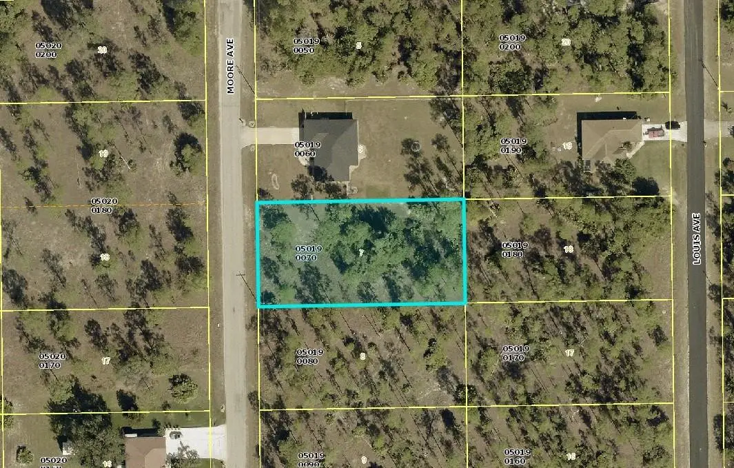 110 Moore Avenue, Lehigh Acres, FL 33936 - #1