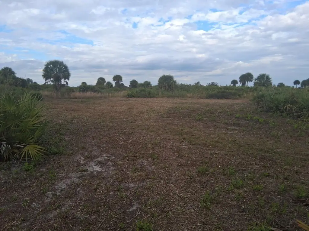 21583 NW 274th Street, Okeechobee, FL 34972 - #1