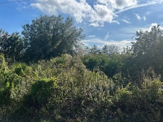 14938 NW 254th Street, Okeechobee, FL 34972 - #2