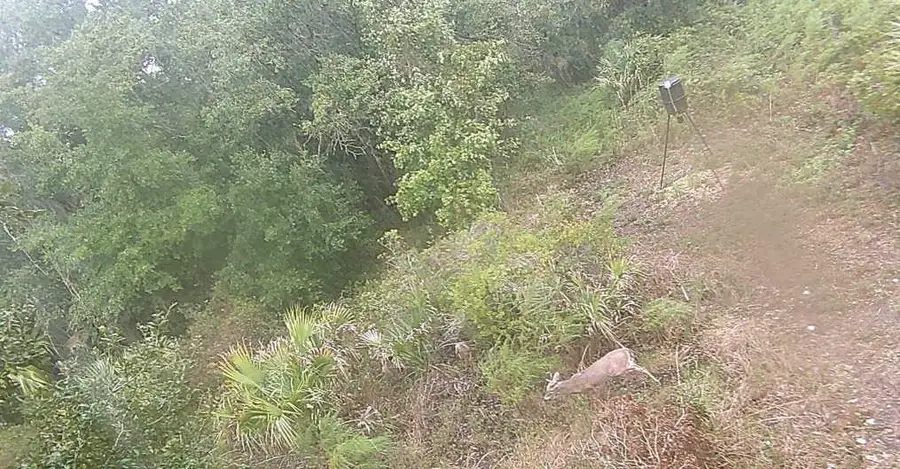 0 298th Street, Okeechobee, FL 34972 - #3