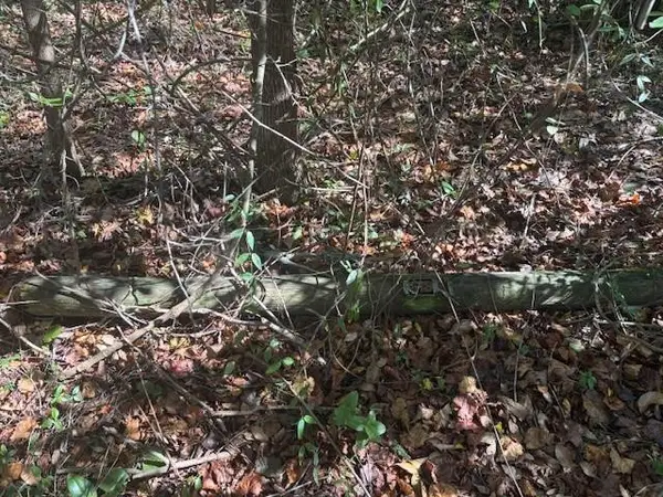 0 SE 157th Street, Umatilla, FL 32784