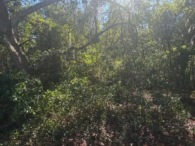 0 SE 157th Street, Umatilla, FL 32784 - #2