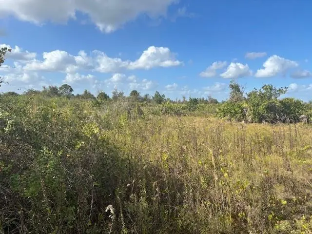 15463 NW 256th Street, Okeechobee, FL 34972 - #2