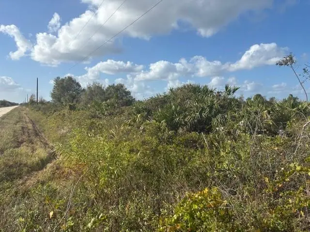 15463 NW 256th Street, Okeechobee, FL 34972 - #3