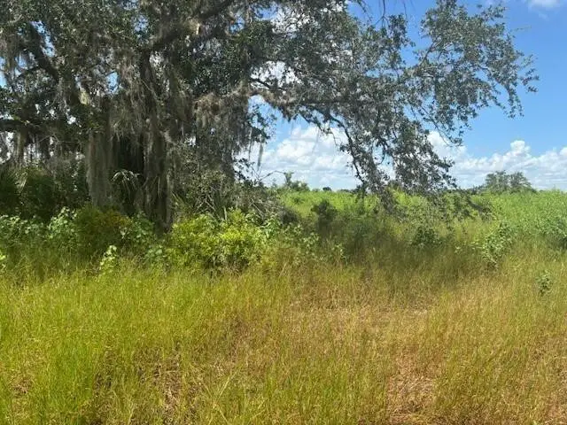 0 NW 316th Street, Okeechobee, FL 34972 - #1