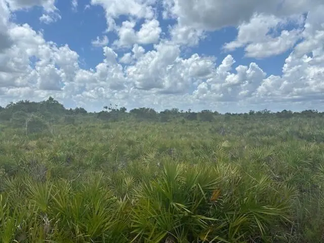 0 313th Street, Okeechobee, FL 34972 - #2