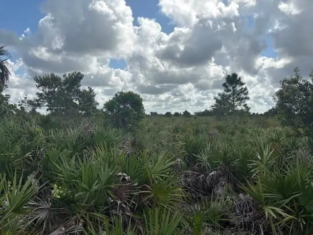 0 NW 316th Street, Okeechobee, FL 34972 - #2