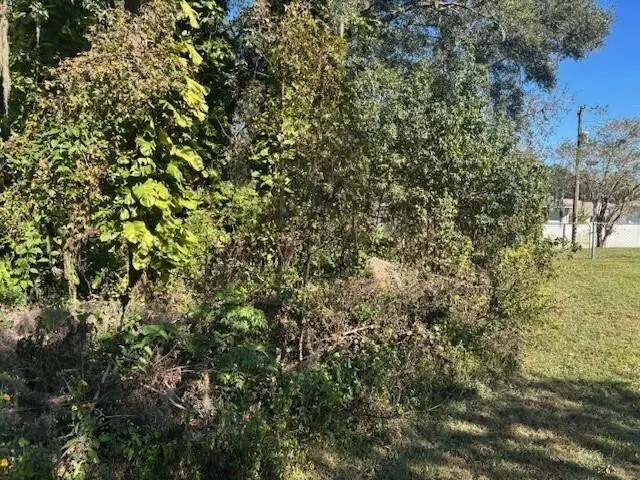 0 Maple Hill Court, Lakeland, FL 33811 - #1