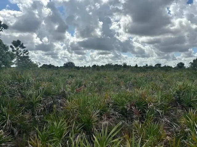 0 NW 314th Street, Okeechobee, FL 34972 - #3