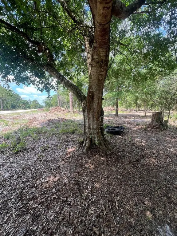 681 N Perimeter Road, Clewiston, FL 33440 - #3