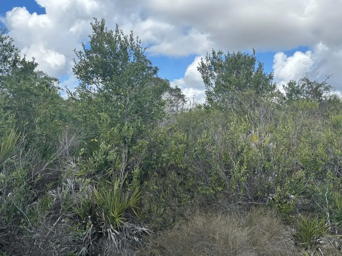 0 County Rd 54, Kathleen, FL 33849 - #1