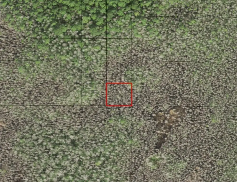 0 Holopaw Groves Road, Saint Cloud, FL 34772 - #1