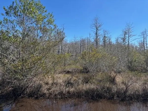 0 Holopaw Groves Road, St Cloud, FL 34772