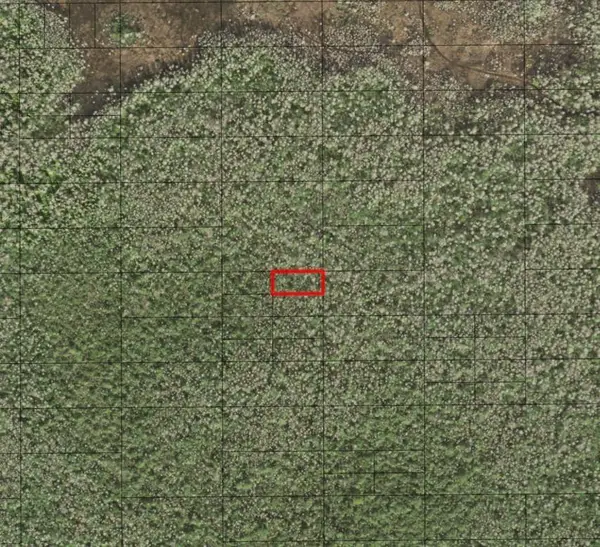 0 Holopaw Groves Road, St Cloud, FL 34772