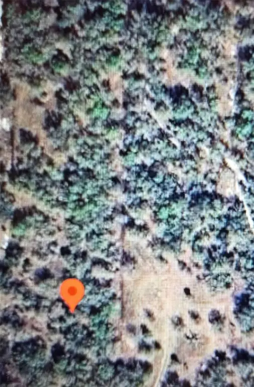 22343 NW 284th Street, Okeechobee, FL 34972