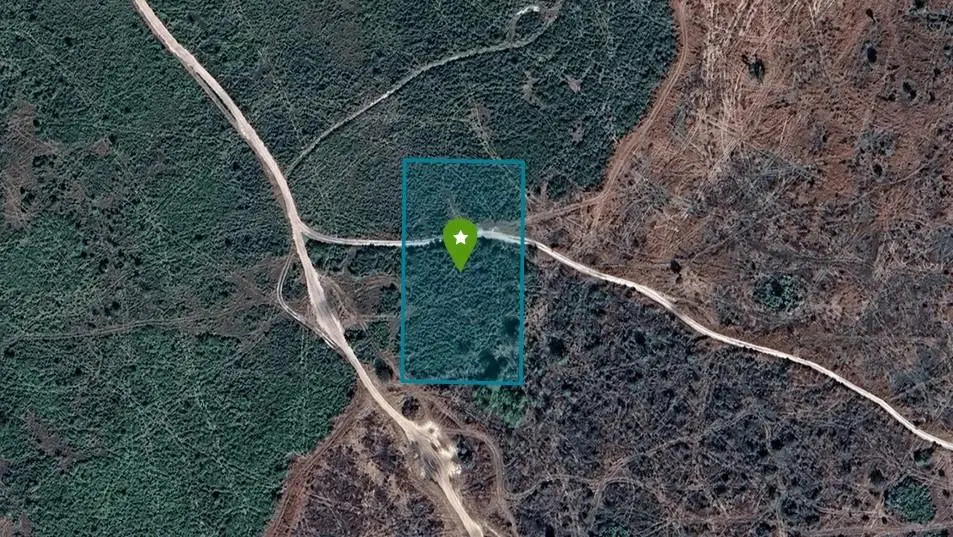 0 NW 314th Street, Okeechobee, FL 34972 - #1