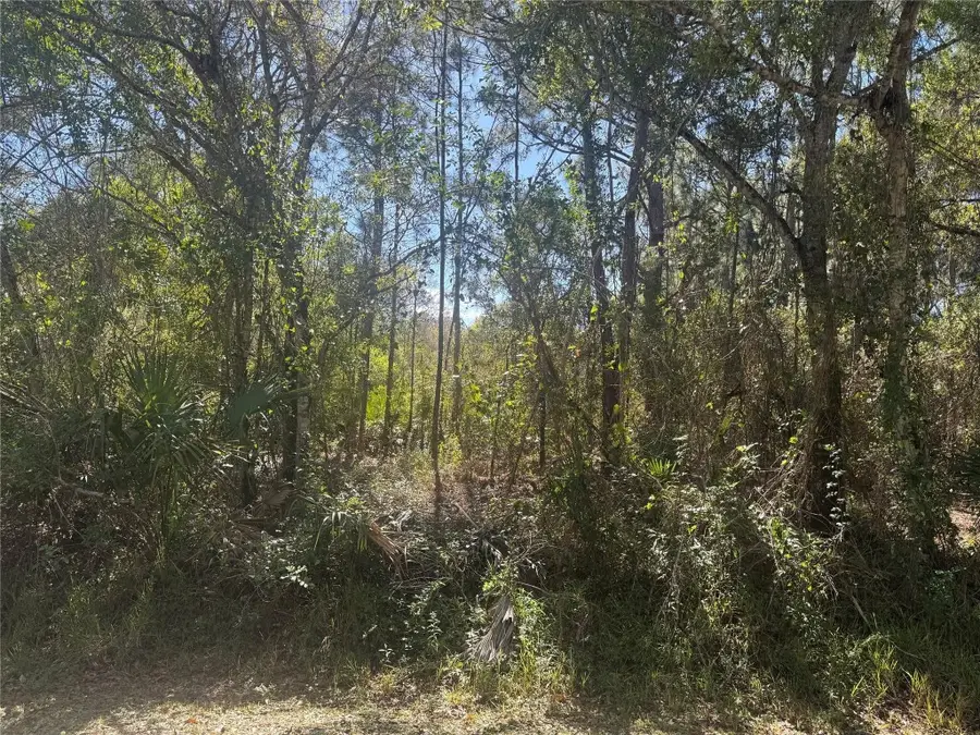 508 NW 30th Lane, Okeechobee, FL 34972 - #2