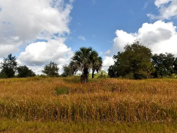 005 Hatteras Avenue, North Port, FL 34288