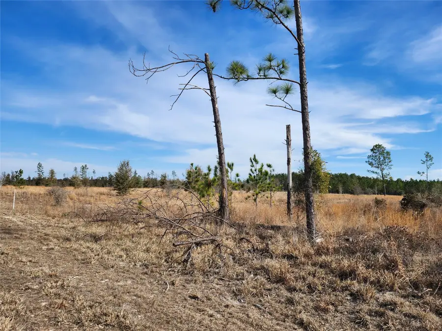 80?? 211 Court, Live Oak, FL 32060 - #2