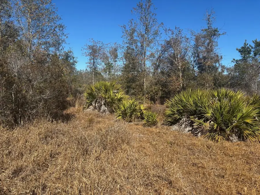 0 Xeriscape Nursery Road, Frostproof, FL 33898 - #3