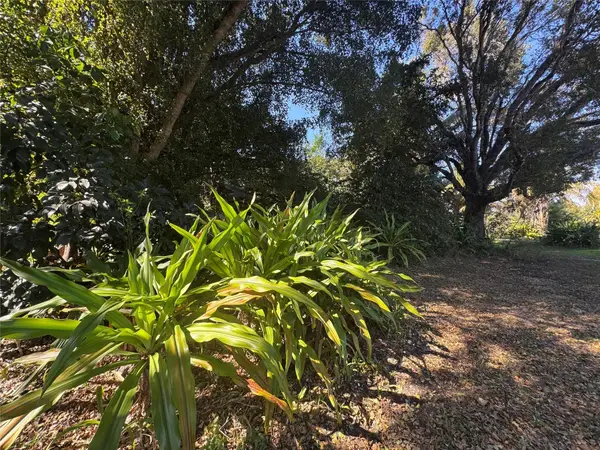 5911 SW 196th Lane, Southwest Ranches, FL 33332