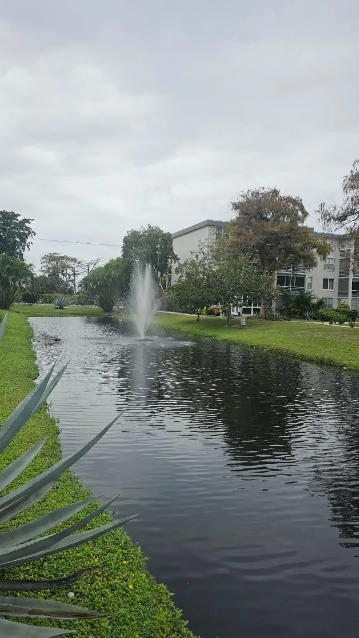 4851 NW 26th Court #342, Lauderdale Lakes, FL 33313 - #3