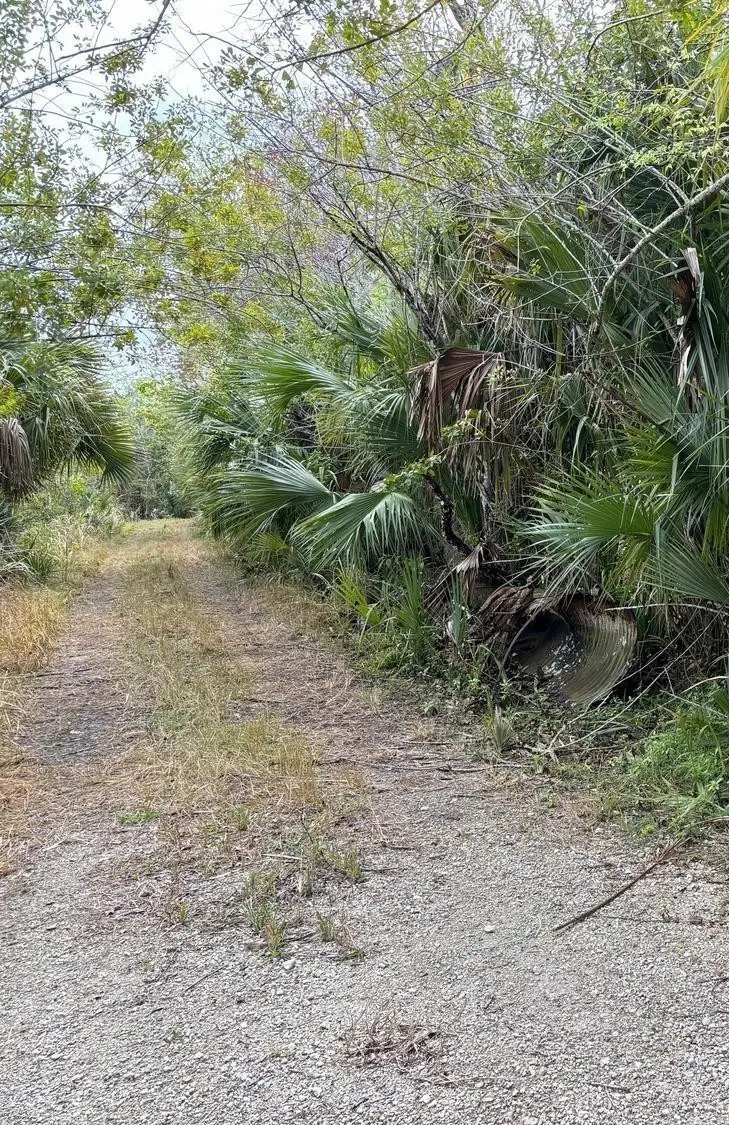 0 Hidden Oaks Lane, Oak Hill, FL 32759 - #1