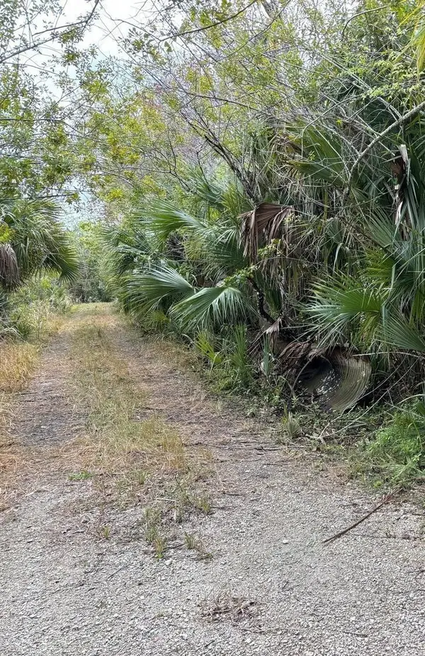 0 Hidden Oaks Lane, Oak Hill, FL 32759