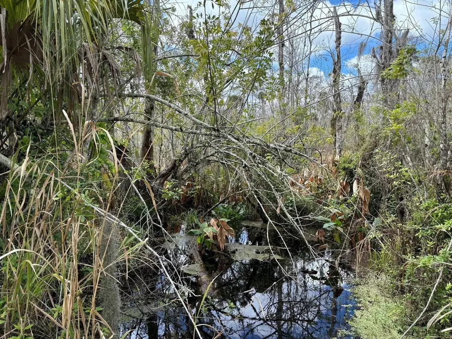 0 Hidden Oaks Lane, Oak Hill, FL 32759 - #2