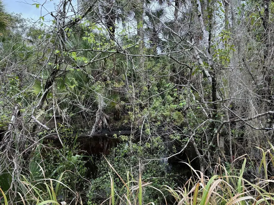 0 Hidden Oaks Lane, Oak Hill, FL 32759 - #3