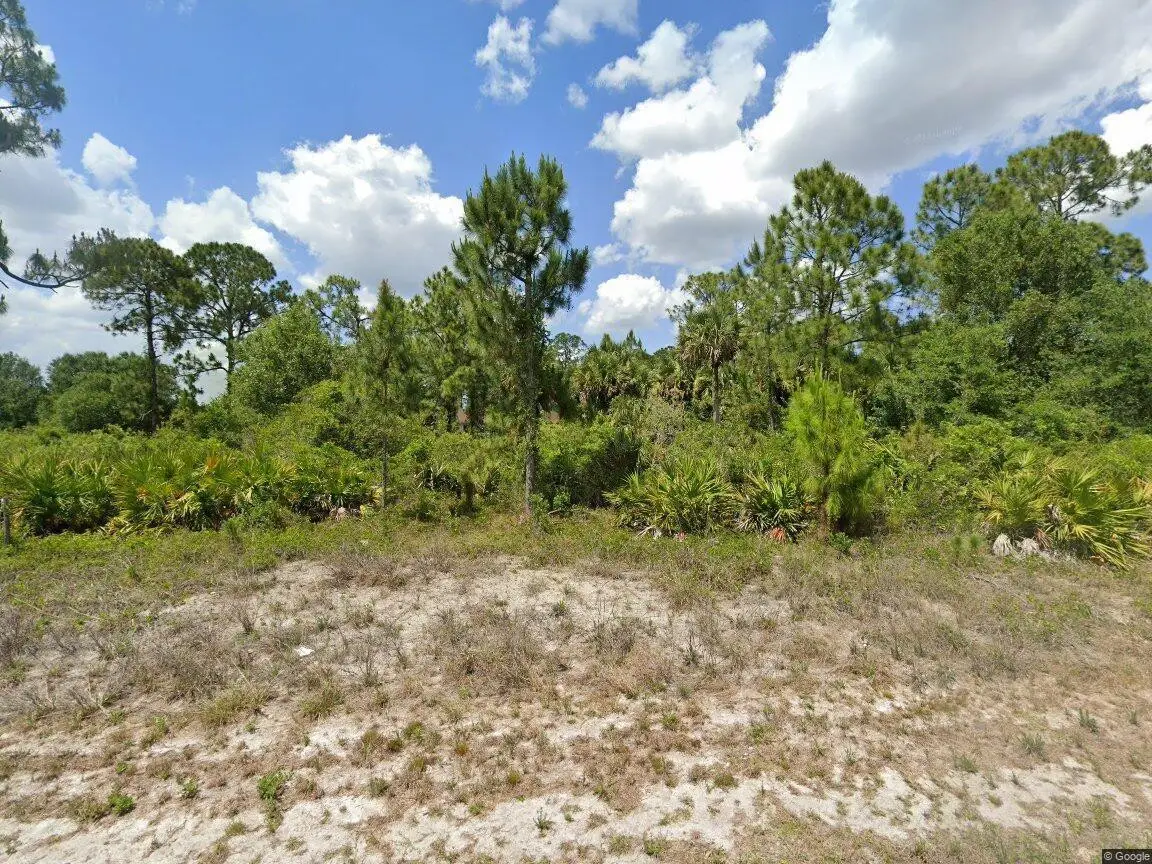 733 Palmer Street, Lehigh Acres, FL 33974 - #1