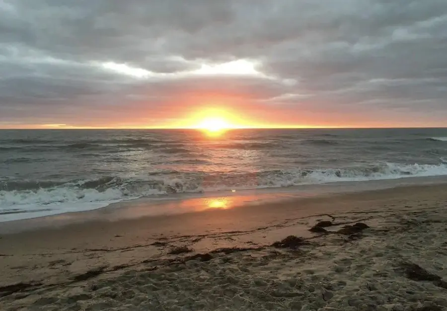 871 Osprey Lane, Hutchinson Island, FL 34949 - #2