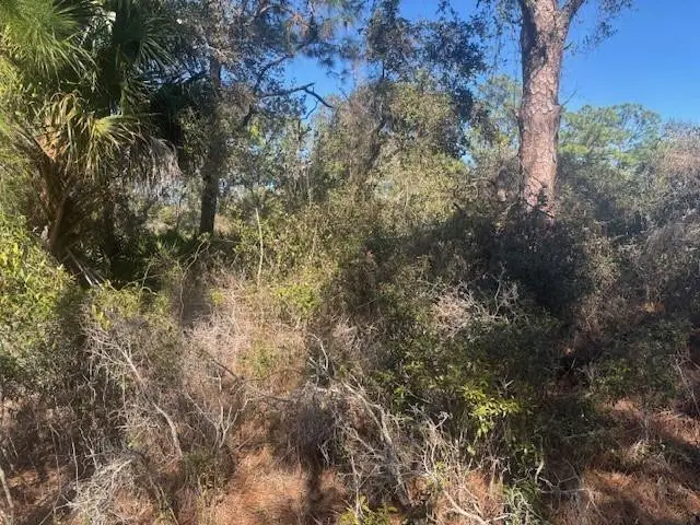 221 Rainbow Drive, Lake Placid, FL 33852 - #1