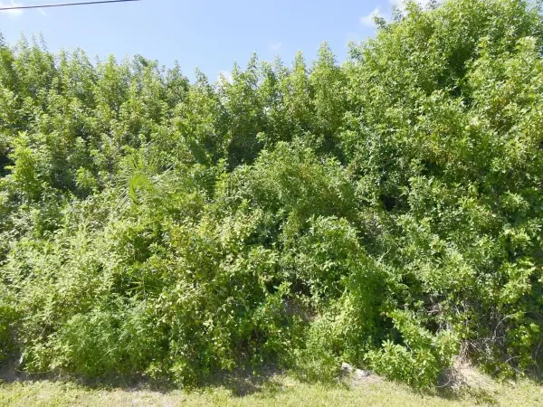 4273 SW Rosser Boulevard, Port St Lucie, FL 34953