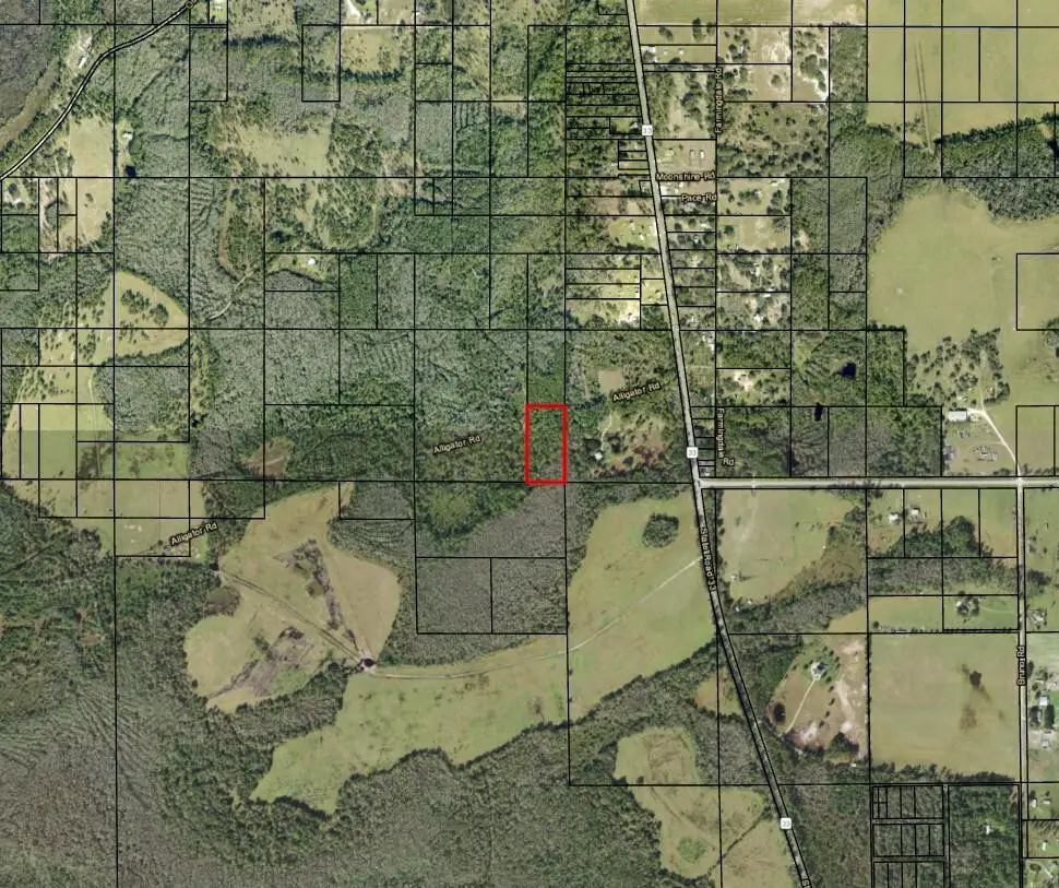0 Alligator Road, Groveland Mascotte, FL 33868 - #1
