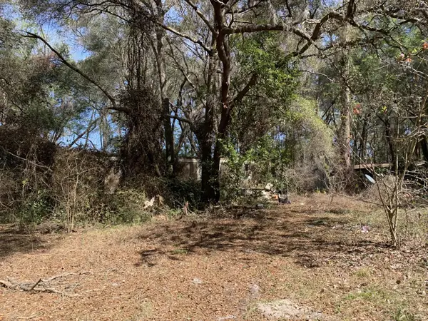 2361 178 Street, Summerfield, FL 34491