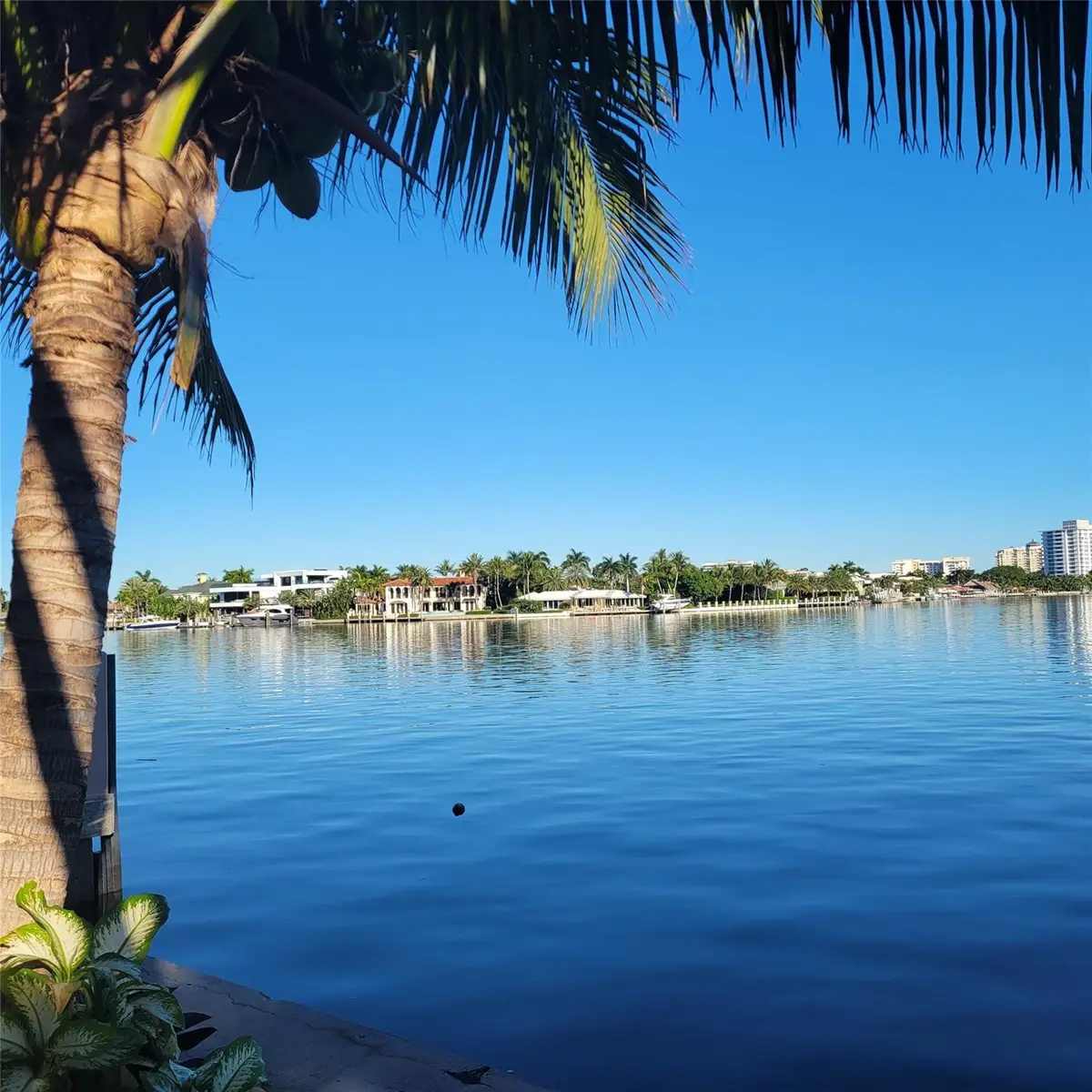 2617 Aqua Vista Boulevard, Fort Lauderdale, FL 33301 - #1