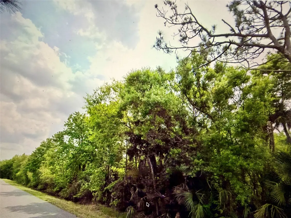 2551 NW 35th Drive, Okeechobee, FL 34972 - #1