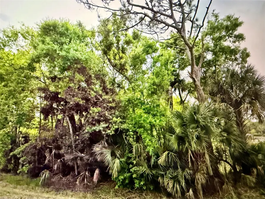 2551 NW 35th Drive, Okeechobee, FL 34972 - #2